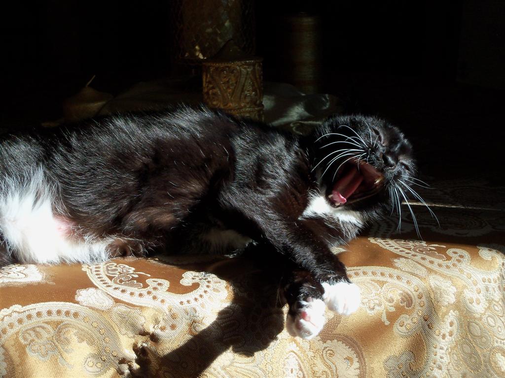 [EBAY+2432+(Large).jpg]