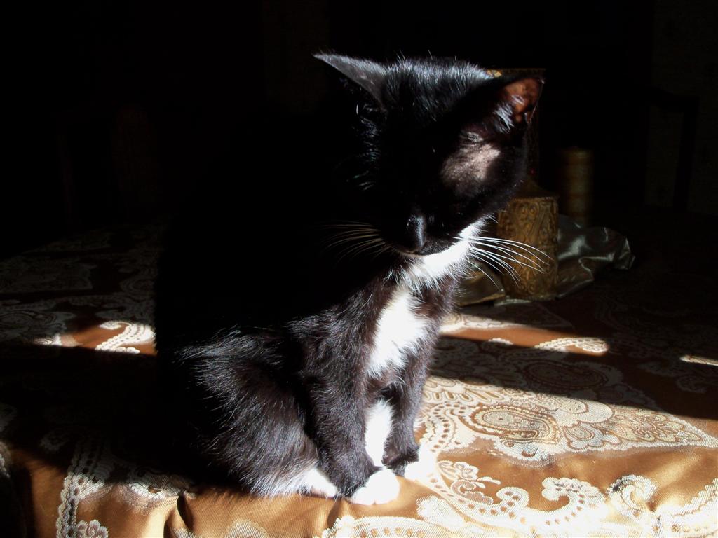 [EBAY+2429+(Large).jpg]