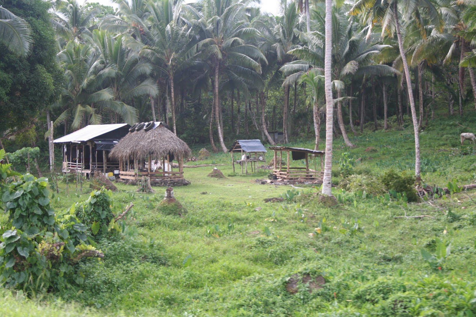 It's For Sail: 9) Asau, Savai’i, Samoa Pt 2