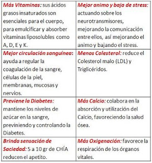 contraindicaciones de tomar agua de chia
