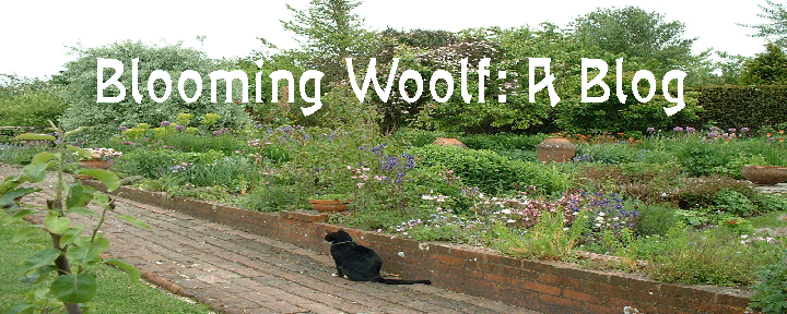 Blooming Woolf