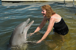 Sandi's dolphin encounter