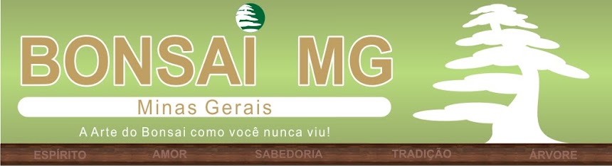 BONSAI MG   .   Bonsai Minas Gerais