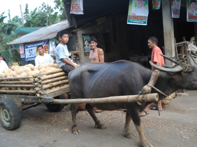 Life is Fun: Daet Camarines Norte