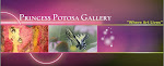 Princess Potosa Gallery