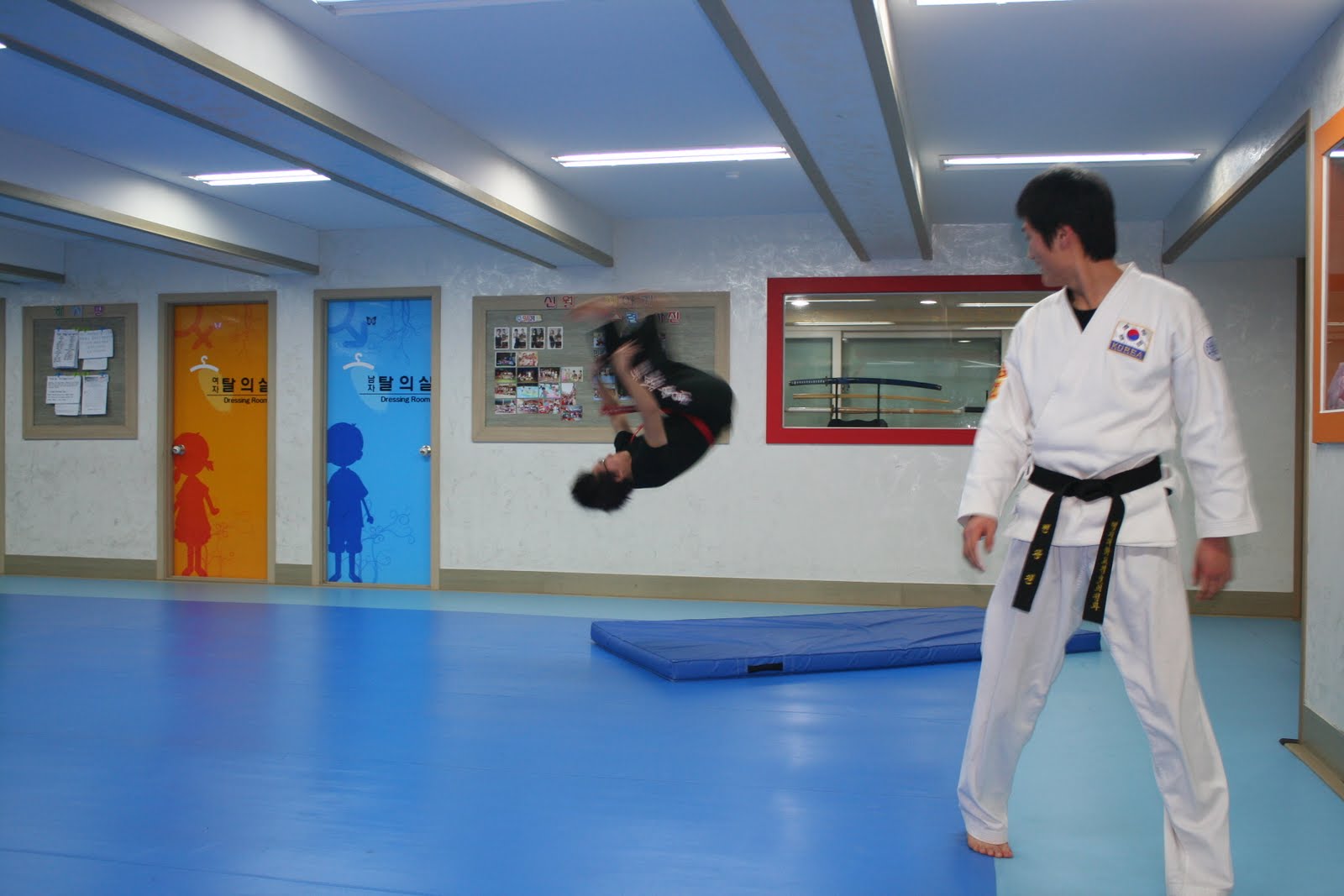 Blood, rice and noodles Hapkido A Korean Martial Art