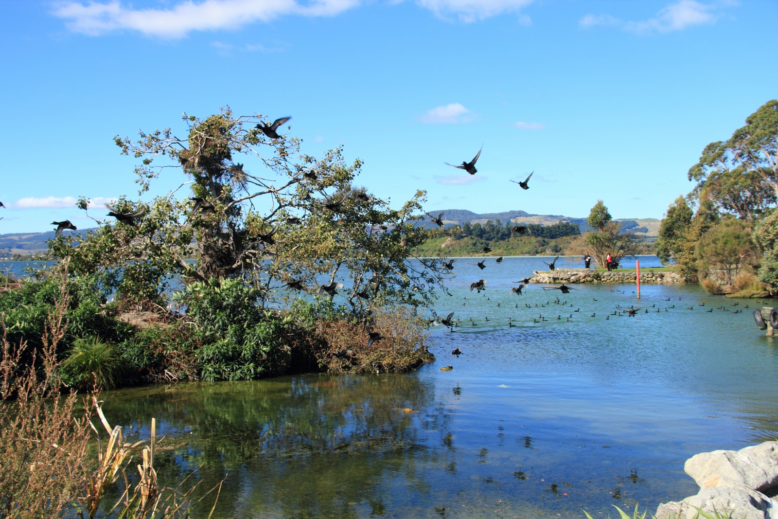 Lake Rotorua PhotoTale