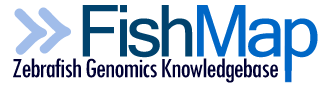 FishBlog | Zebrafish Genomics and Community Annotation