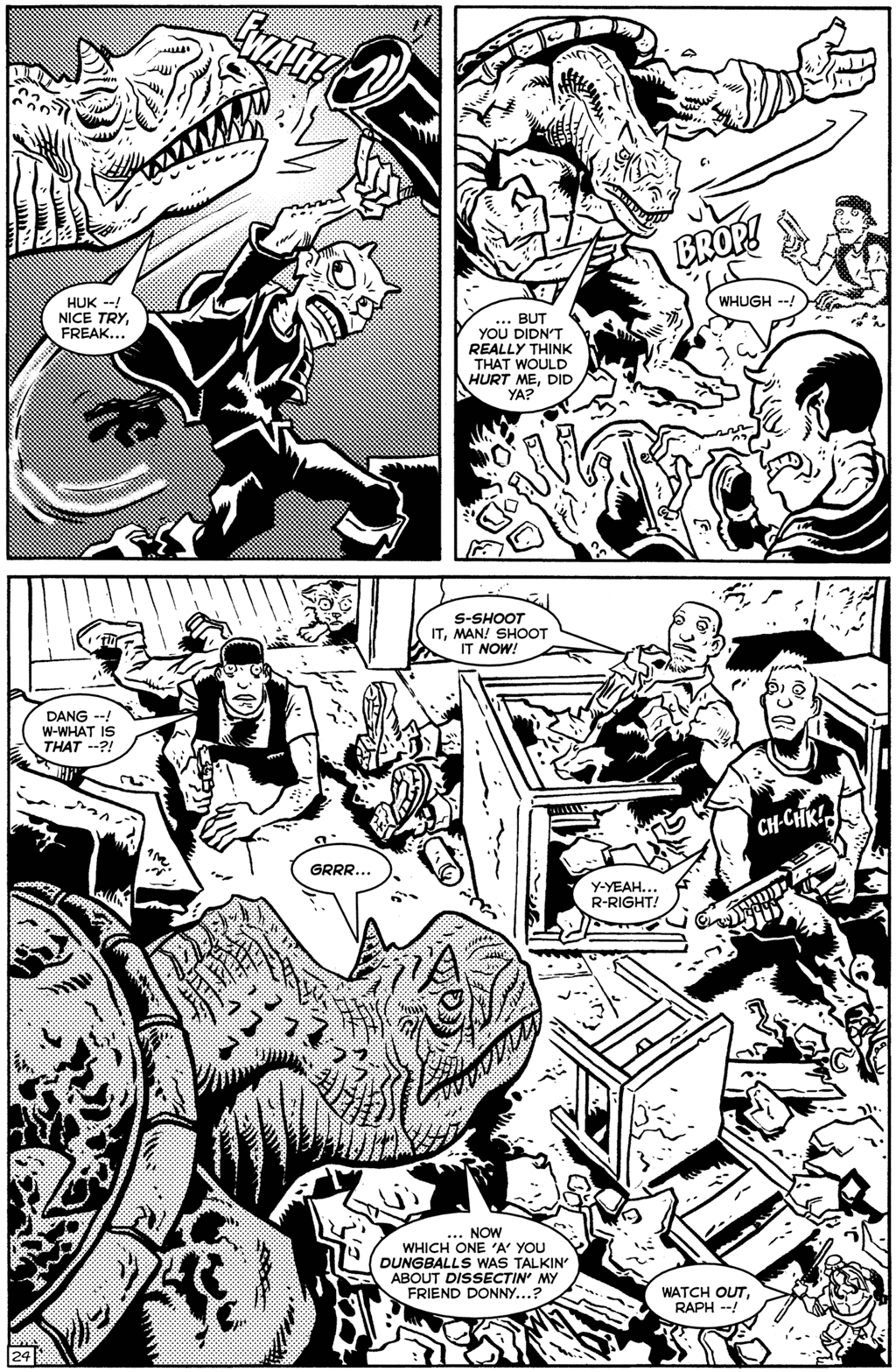 Read online TMNT: Teenage Mutant Ninja Turtles comic -  Issue #27 - 26