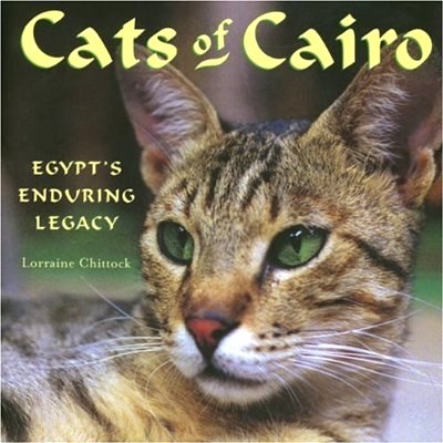 [Cats-of-Cairo_cv.jpg]