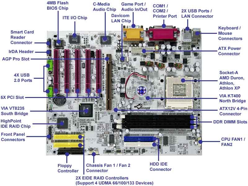 IT 123 Hardware & Software Installation: The Latest Motherboard