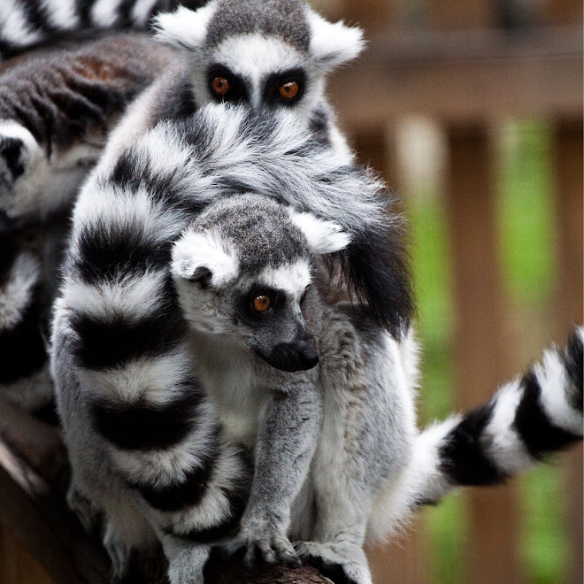 IMG_2204 40x40
