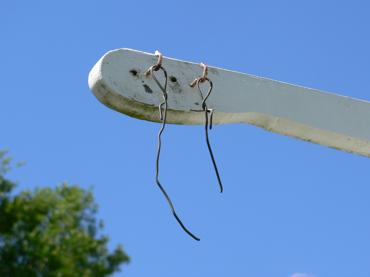 Journals of an Amateur Naturalist Notebook Jottings 5