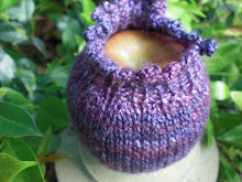 another fruit cozy I love this one