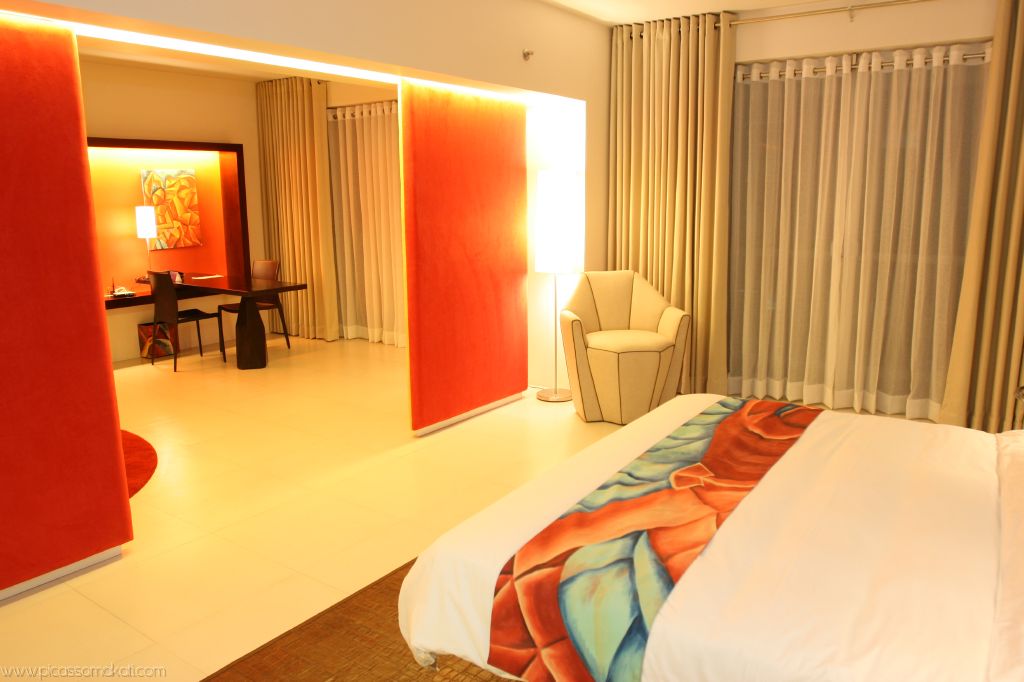 [thepicasso_0022JPG.JPG]