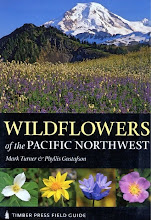 Northwest Native Wildflowers