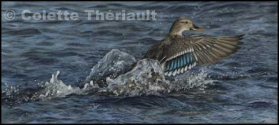 Mallard Duck Painting in pastel