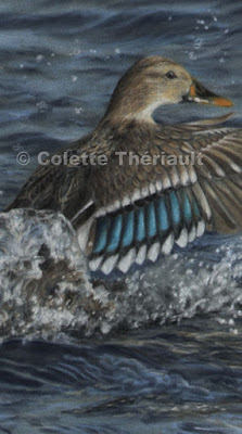 Female mallard painting close up in pastel