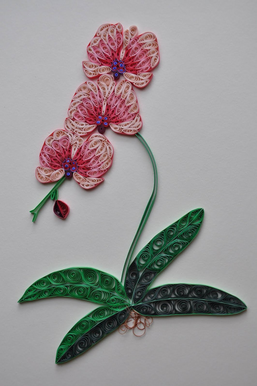 nhipaperquilling: Paper quilling 4