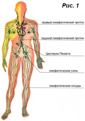 Воспаление лимфосистемы