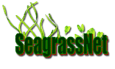 This project forms part of the SeagrassNet worldwide network of seagrass monitoring.