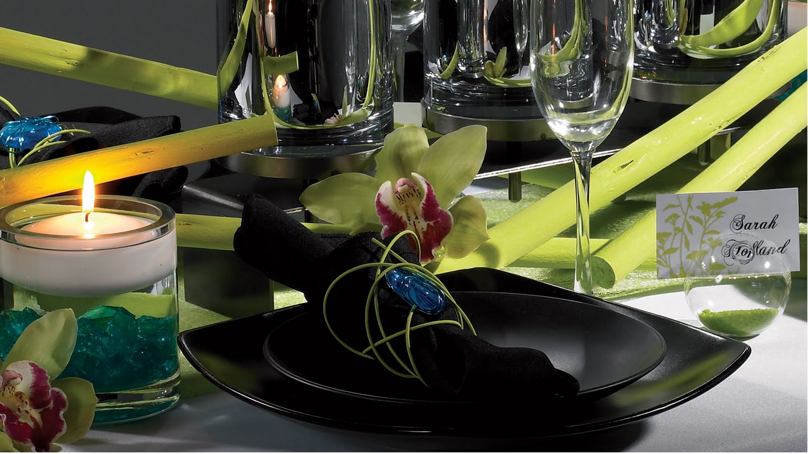 [T2TABLESCAPE1.jpg]
