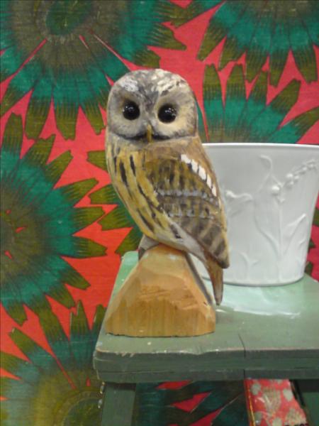 [image-upload-112-773115.jpg]