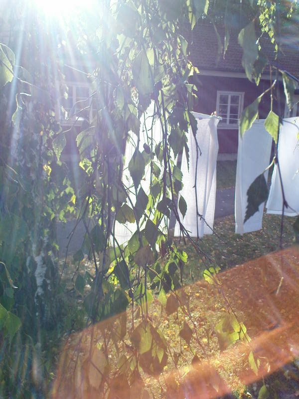 [image-upload-52-780153.jpg]