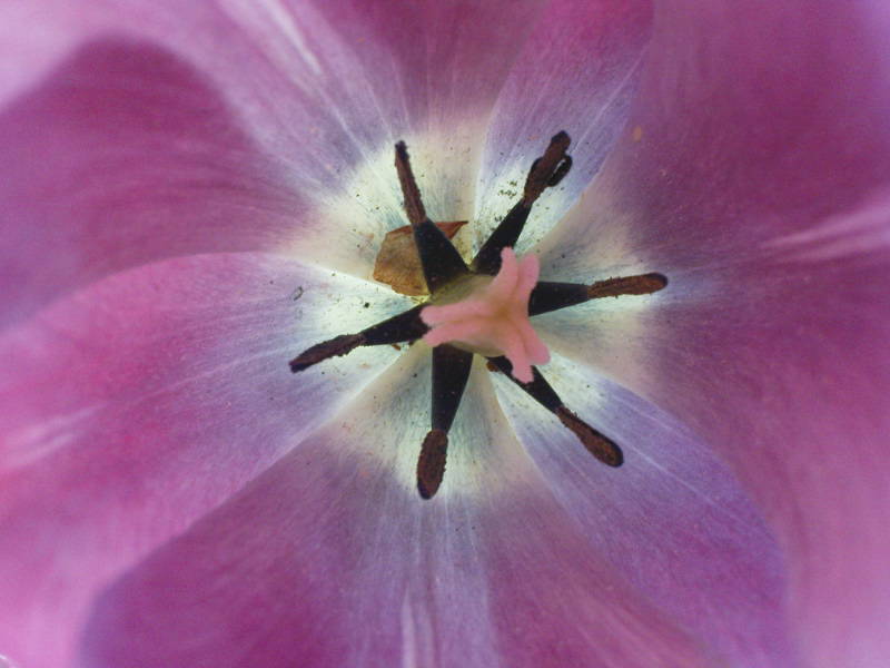 [image-upload-21-744954.jpg]