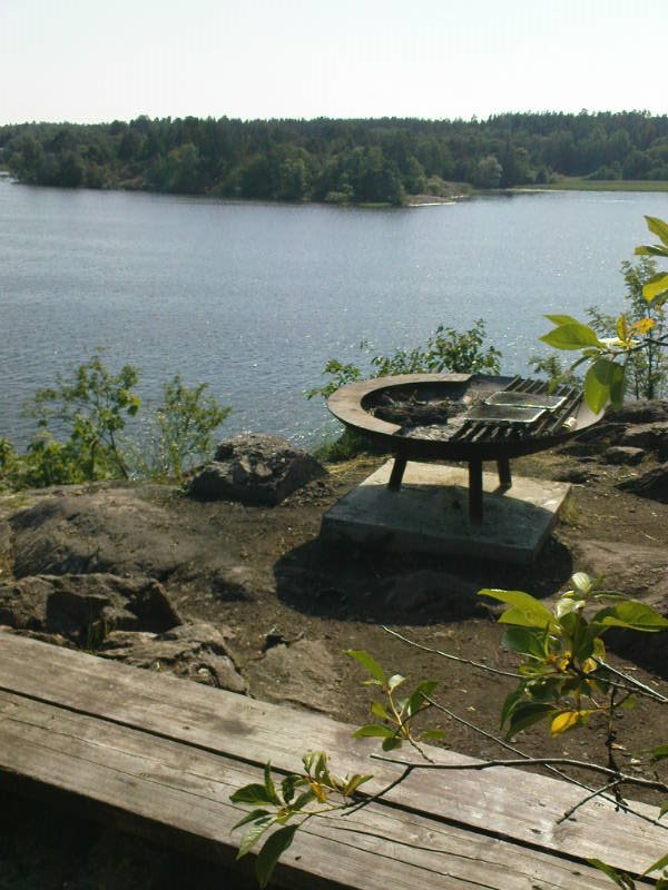 [image-upload-105-784535.jpg]