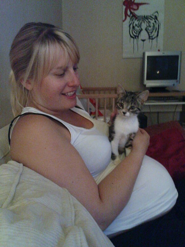 [image-upload-80-719476.jpg]