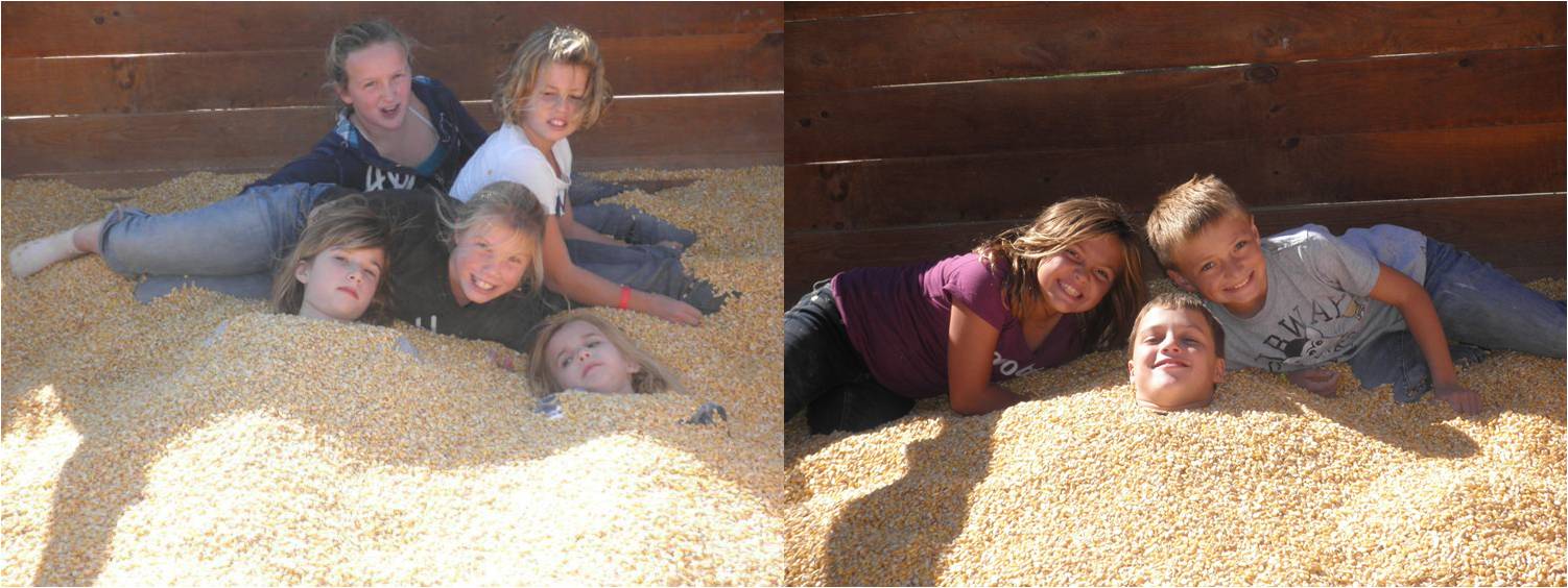 Jersey Shore (PA) Swim Swimmers Tackle Corn Maze