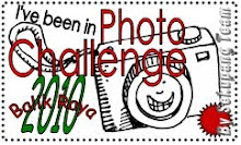 Photo Challenge Balik Raya 2010