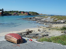 Hvalen på Seløy
