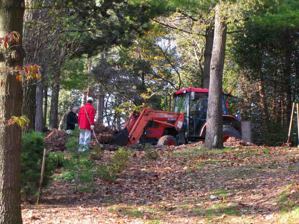 Brueckner Rhododendron Gardens Bioswale, Roses, Rhododendrons, Tree