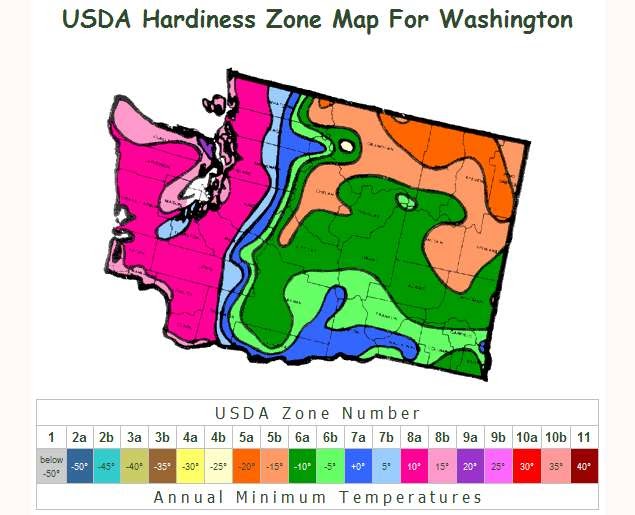 Washington Preppers Network: USDA Hardiness Zone Map for Washington State