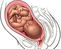 Состояние на 39 неделе. Расположение плода на 38 неделе беременности. Расположение ребенка на 37 неделе. Расположение ребенка в животе. Расположение плода на 37 неделе беременности.