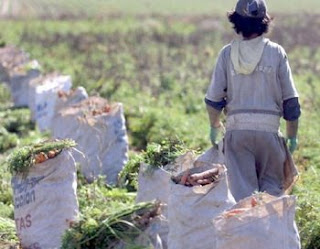 La pobreza crece más en zonas rurales de Mendoza
