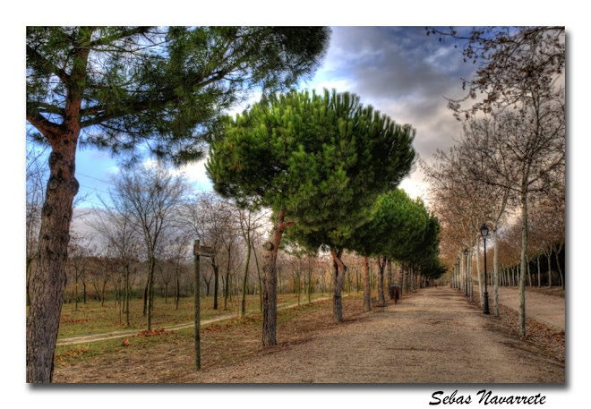 Caminos y senderos