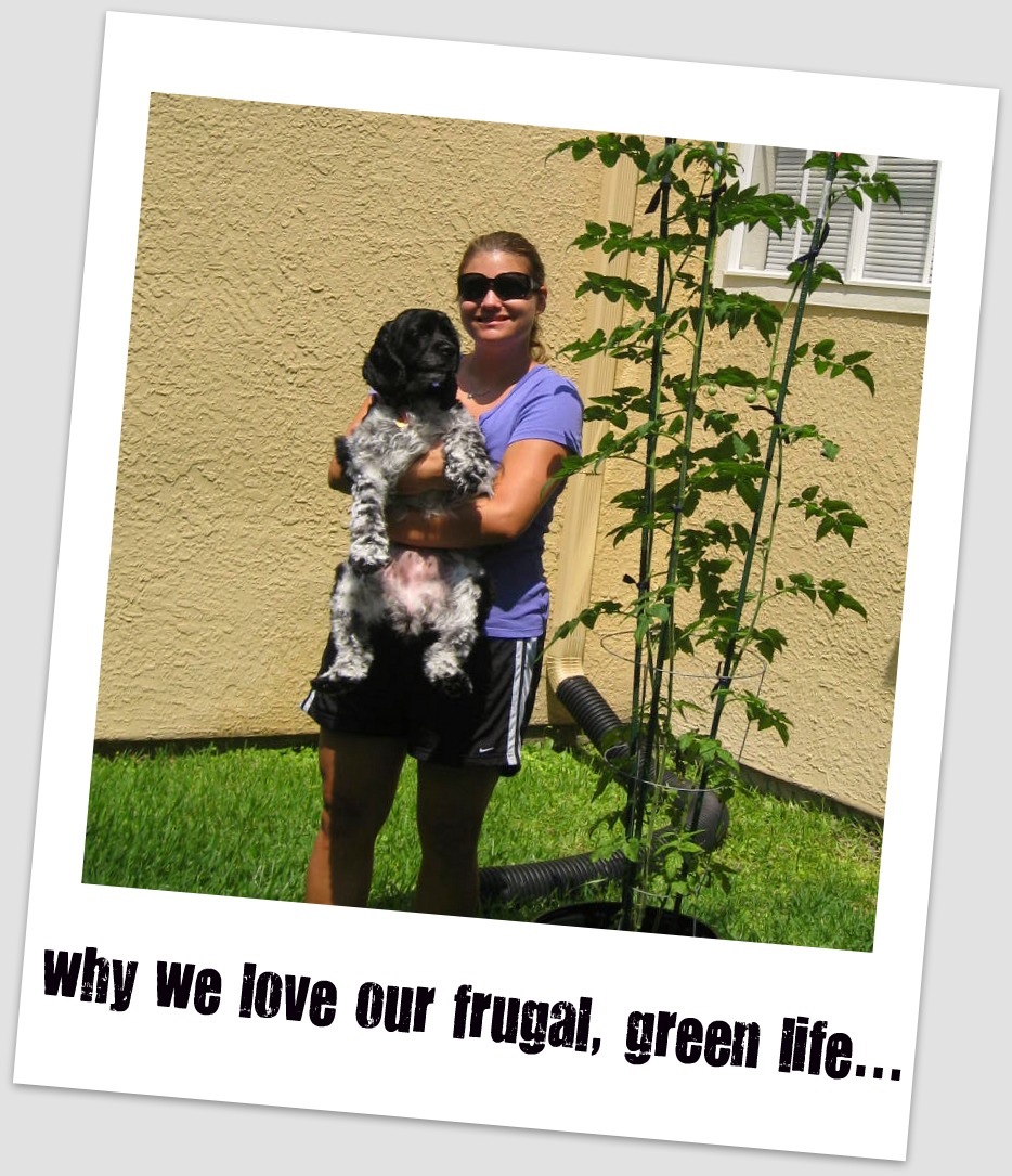 Why do we choose a frugal, green lifestyle?