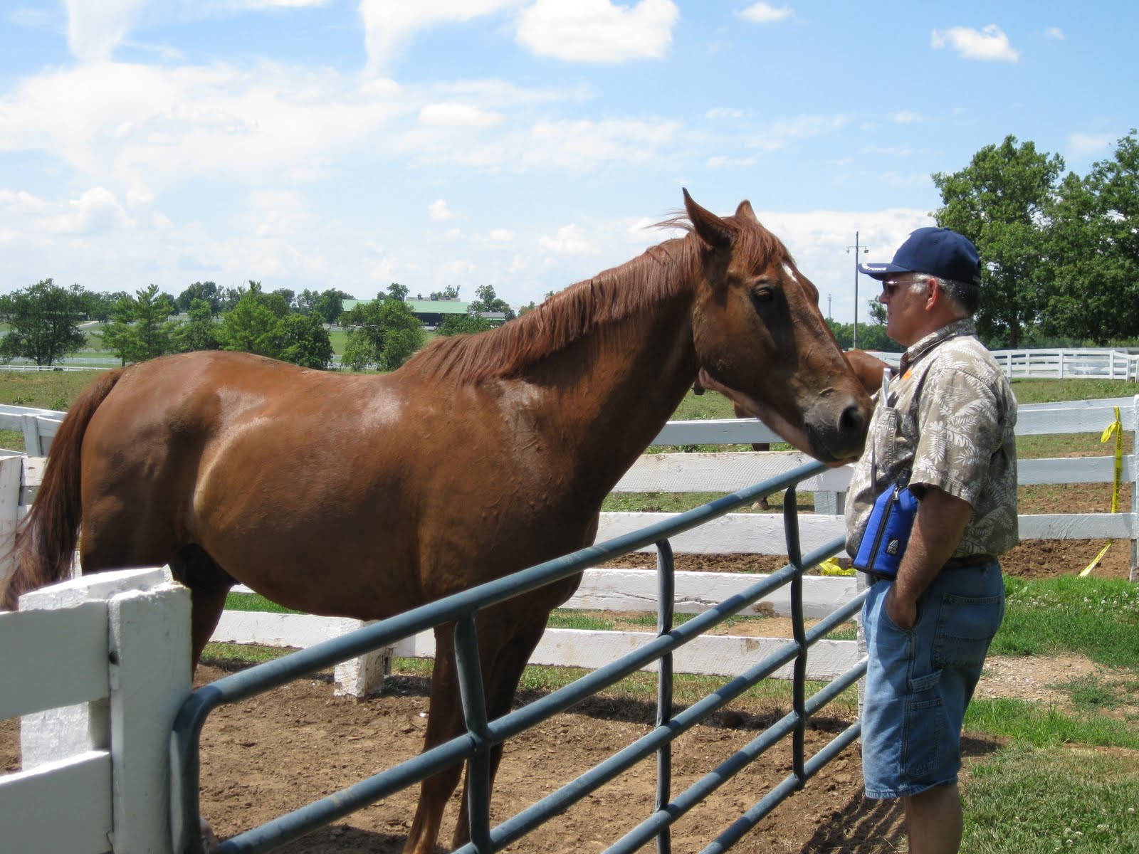 Journey: Kentucky Horse Park