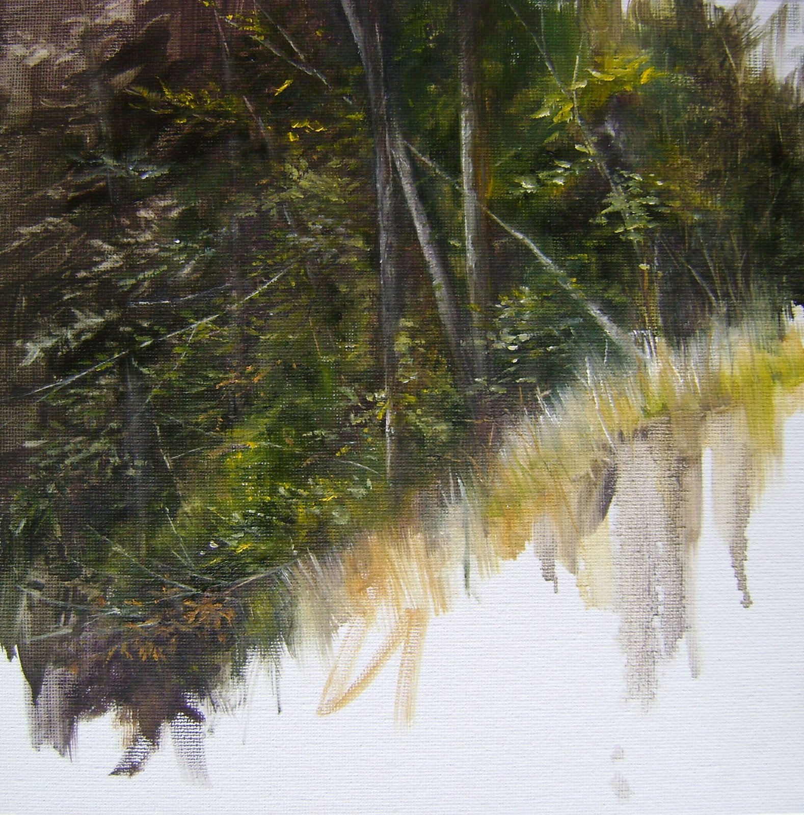 [woods+study-2+10]