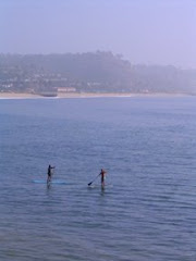 Paddle Surfers