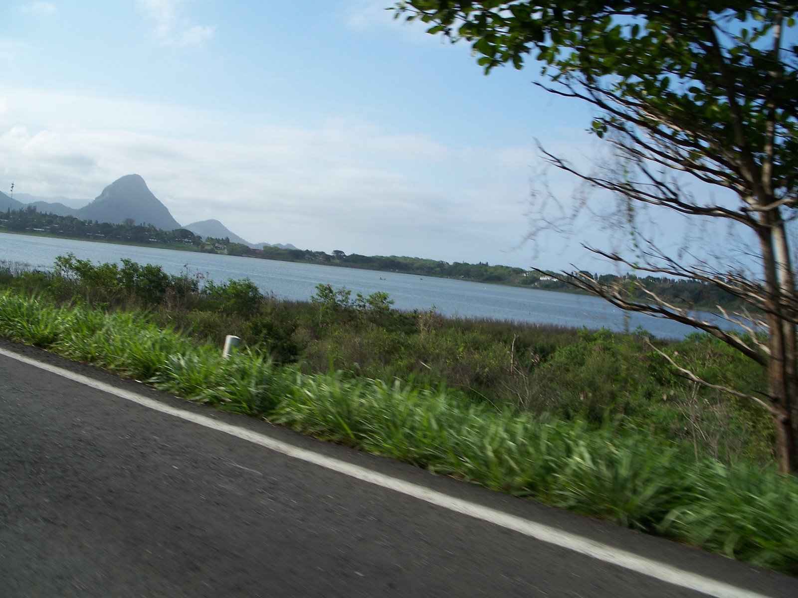 [100_0459.JPG]