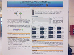 poster presentation fyp hall purpose multi happiness put while short sports
