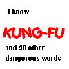 i know Kung-Foo!