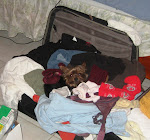 Toto wanted to come too