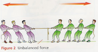exploring balanced and unbalanced forces