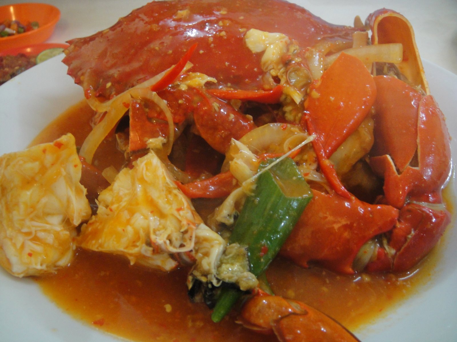 [DSC01111.JPG]