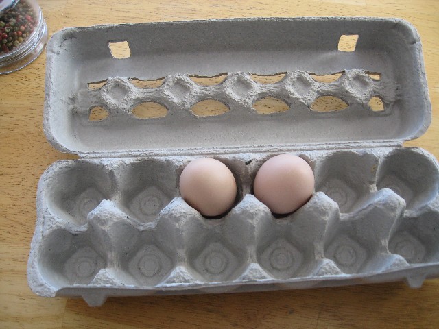 [eggs.JPG]